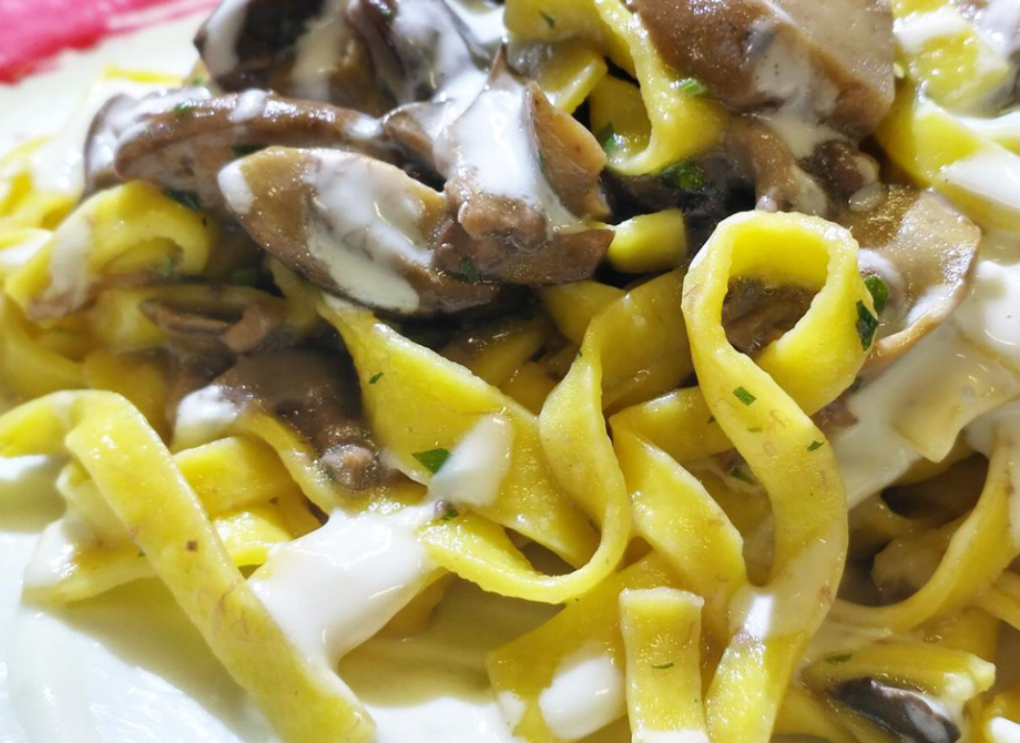 Tagliatelle ai funghi con salsa cremosa, servite su un piatto bianco.